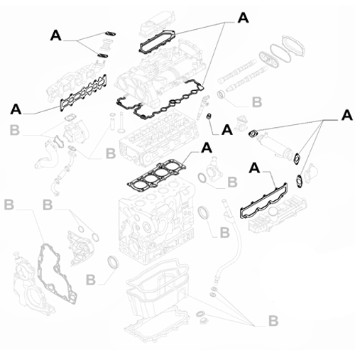 Genuine Gaskets for Crankcase and Cylinder - Fiat Ducato 2006-2014 | 500055000